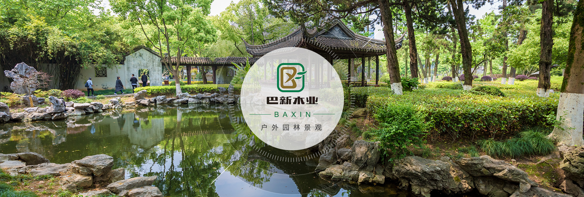 非洲菠萝格
